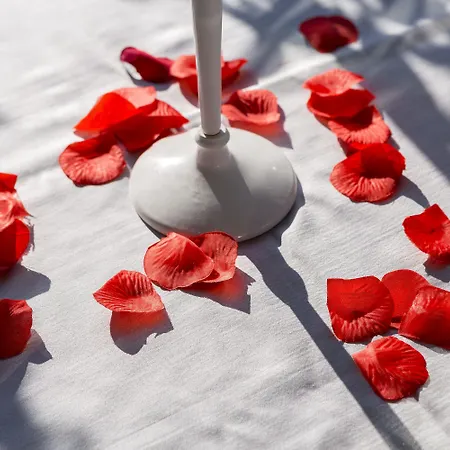 Hotel Hotel Naples Nápoles